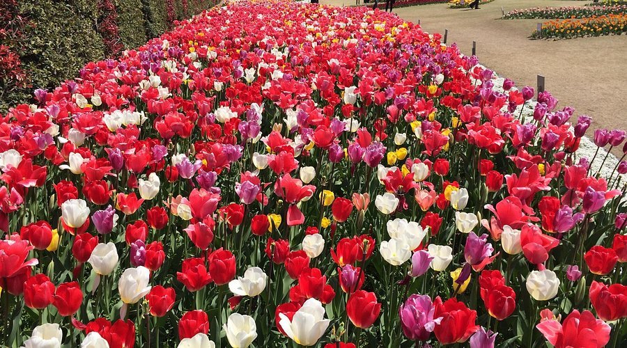 🏞️ 시즈오카 현영 요시다 공원 (시즈오카켄에이 요시다코엔)